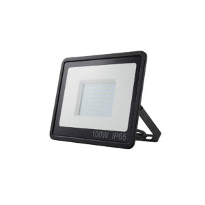 WASHLIGHT 3000K  230 V 100 W LED IP65
